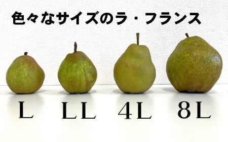 「オカゲサン」～気象災害を乗り越えて～　大玉ラ・フランス　５ｋｇ　0060-2423