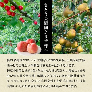 山形県上山市産　白桃（品種おまかせ）３ｋｇ　0136-2601