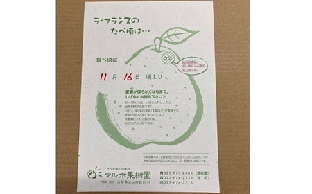 西洋梨(ラ・フランス)3.4kg ご家庭用 0078-2505