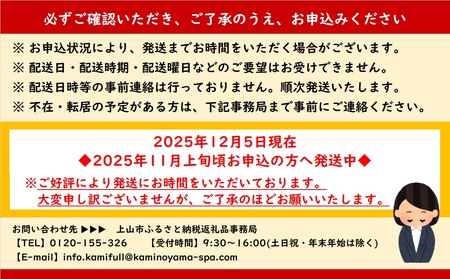 かみのやまシュー　３個　0048-2501