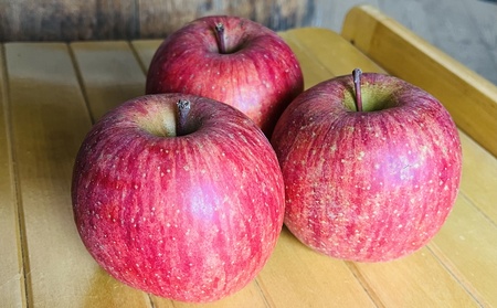 りんご（サンふじ）５ｋｇ　１２～２０個　秀品　0065-2611
