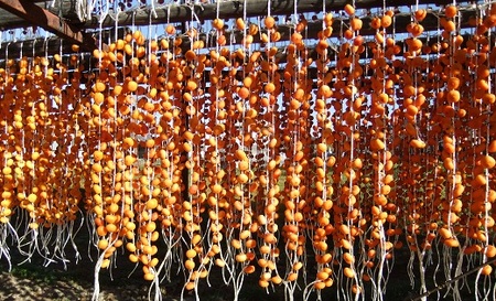 紅干し柿 200g×4パック 0112-2513