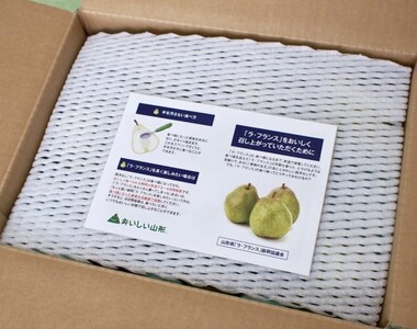 西洋梨（ラ・フランス）３ｋｇ　ご家庭用　0037-2607