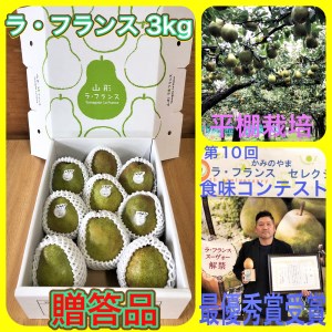 西洋梨(ラ・フランス)3kg 贈答品 0102-2204