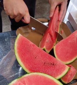 【フルーツ王国直送!】山形の小玉すいか(ひとりじめBONBON)1個 0033-2601