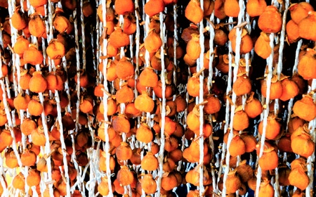 【数量限定】干し柿（紅柿）５０果　Ｌ～２Ｌサイズ　0108-2610