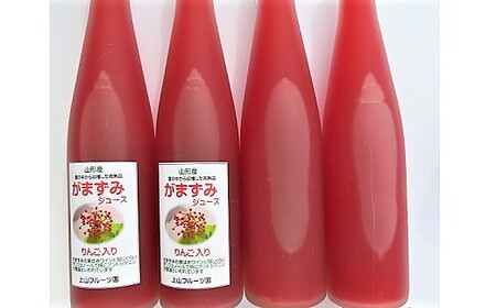 【2026年2月から発送】がまずみジュース(りんご入り)500ml×4本 0075-2517