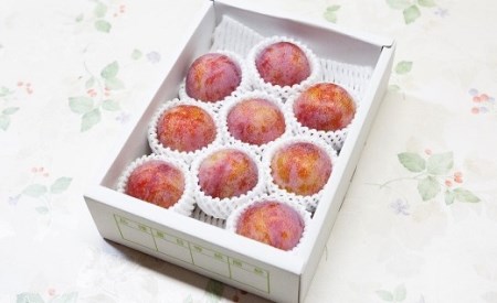 0055-2001 すもも(貴陽)2kg ご家庭用