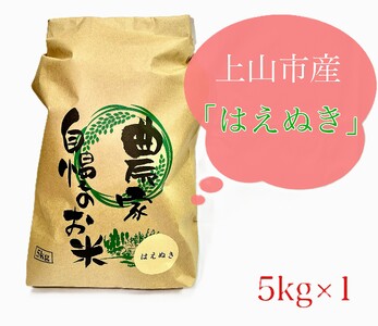 【山形県産】令和７年産　はえぬき　５ｋｇ　0120-2509