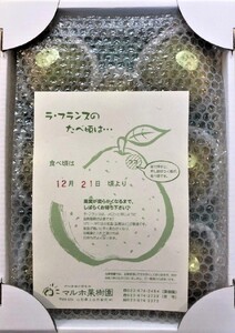 【山形セレクション認定品】ラ・フランス　３ｋｇ　特選　ギフト用　0078-2604