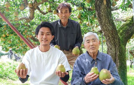 【山形セレクション認定品】ラ・フランス　３ｋｇ　特選　ギフト用　0078-2604