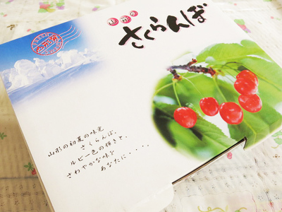 山形チェリーランドのさくらんぼ(佐藤錦)200g×2パック ご家庭用 0075-2601