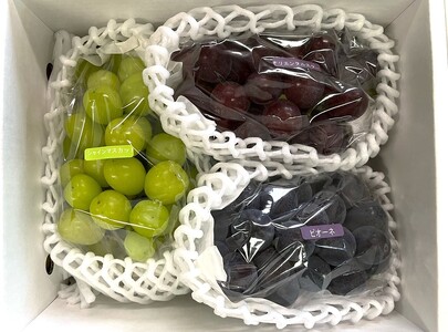 【定期便:全2回】フルーツセット(シャインマスカット入詰め合わせぶどう、ラ・フランス) 0065-2601