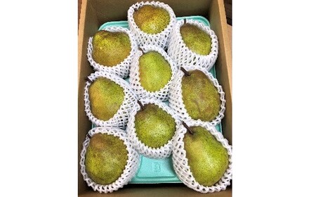 【定期便:全2回】フルーツセット(シャインマスカット入詰め合わせぶどう、ラ・フランス) 0065-2601