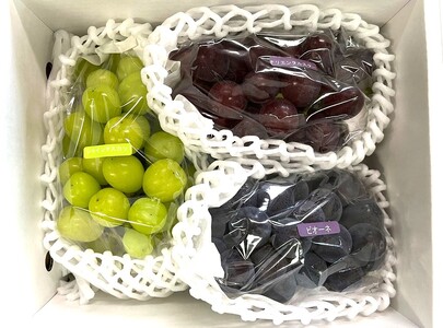 【定期便：全３回】フルーツセット（シャインマスカット入詰め合わせぶどう、ラ・フランス、りんご）　0065-2602