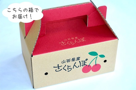 さくらんぼ（佐藤錦か紅秀峰）１８０ｇ×４パック　ご家庭用　0052-2603