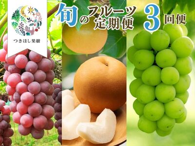 【定期便:全3回】旬のフルーツ定期便(キングデラ、和梨、シャインマスカット) 0140-2601