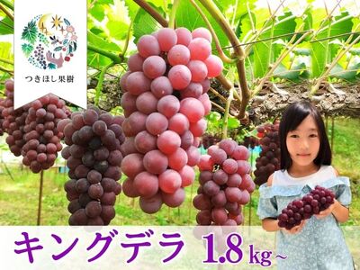 【定期便:全3回】旬のフルーツ定期便(キングデラ、和梨、シャインマスカット) 0140-2601