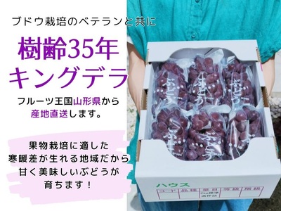 【定期便:全3回】旬のフルーツ定期便(キングデラ、和梨、シャインマスカット) 0140-2601