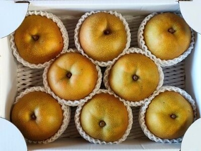 【定期便:全3回】旬のフルーツ定期便(キングデラ、和梨、シャインマスカット) 0140-2601