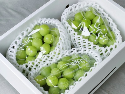 【定期便:全3回】旬のフルーツ定期便(キングデラ、和梨、シャインマスカット) 0140-2601