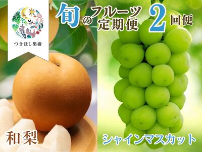 【定期便：全２回】旬のフルーツ定期便（和梨、シャインマスカット）　0140-2602