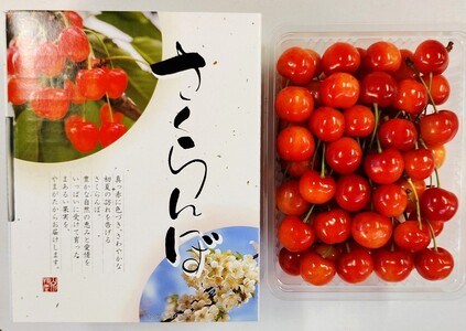さくらんぼ（佐藤錦）５００ｇ　化粧箱入　0030-2606