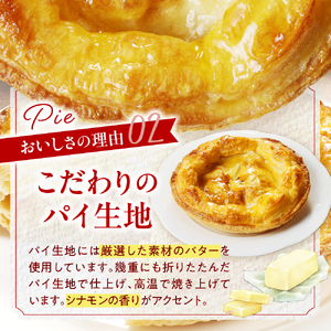 【２０２５年１０月上旬から発送】上山産ふじりんごのアップルパイ　0121-2504