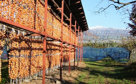 干し柿（たねなしつるし）３２個　２Ｌサイズ　0040-2602