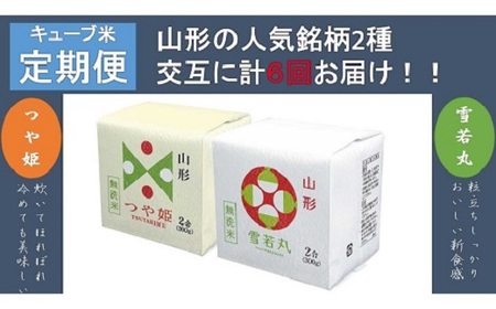 【定期便】令和６年産 無洗米キューブ２合×２０個を６か月連続お届け　0059-2439