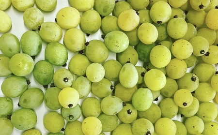 ぶどうの宝石箱(品種いろいろ、粒のみ詰合せ) 500g×2パック 0065-2603