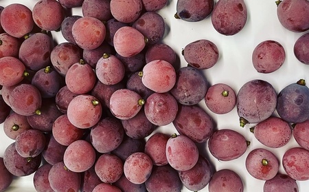 ぶどうの宝石箱(品種いろいろ、粒のみ詰合せ) 500g×2パック 0065-2603