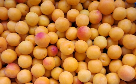 昔ながらの「しそ梅ぼし」中粒 180g×2袋 0040-2503