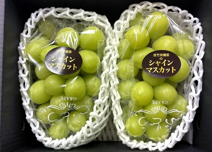 ぶどう(シャインマスカット）２～３房　合計２ｋｇ以上　化粧箱入り　0041-2601
