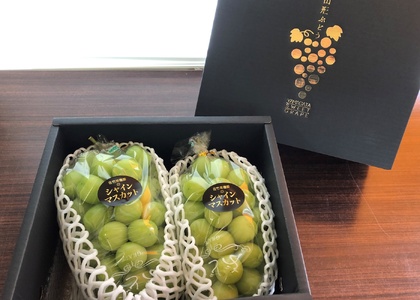 ぶどう(シャインマスカット）２～３房　合計２ｋｇ以上　化粧箱入り　0041-2601