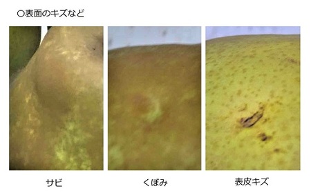 西洋梨（ラ・フランス）６ｋｇ　大玉　ご家庭用　0009-2512