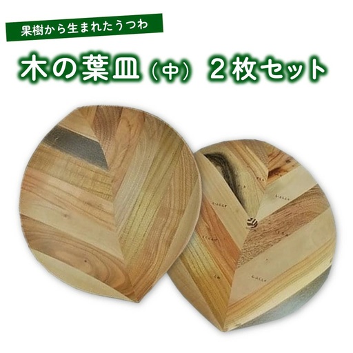 【果樹から生まれたくだものうつわ】木の葉皿（中）２枚セット　0058-2201