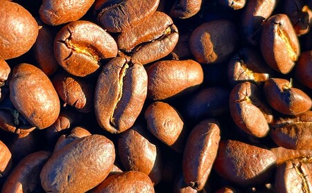 自家焙煎「かみのやま温泉焙煎所」スペシャルブレンドコーヒー豆100g 0124-2501