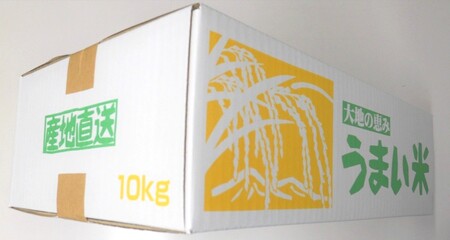 令和７年産　山形のお米　米囃子（はえぬき）５ｋｇ×２袋　0017-2533