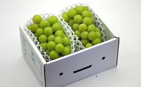 【産地直送】上山産・絶品シャインマスカット　１.２ｋｇ以上♪　0140-2505