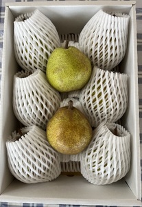 西洋梨（ラ・フランス）６ｋｇ　ご家庭用　0041-2505