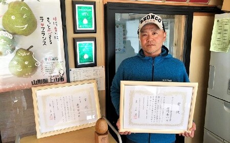 西洋梨（ラ・フランス）６ｋｇ　ご家庭用　0041-2505