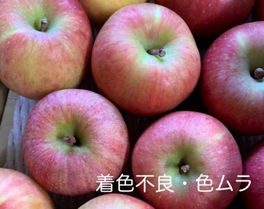 りんご（こうとく）２ｋｇ　８～１２個　秀品・ご家庭用混合　0120-2603