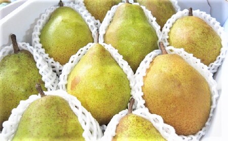 西洋梨（ドワイエンヌ・ドュ・コミス ）３.３ｋｇ　ご家庭用　0075-2606