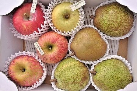 ラ・フランスとりんご２品種以上の詰合せ　３ｋｇ　ご家庭用　0075-2411