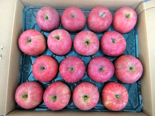 りんご（サンふじ）５ｋｇ　１４～１８玉　特秀品　0056-2623