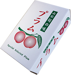 【数量限定】プラム(ゴールド秋姫)1.2kg 秀品 0106-2605