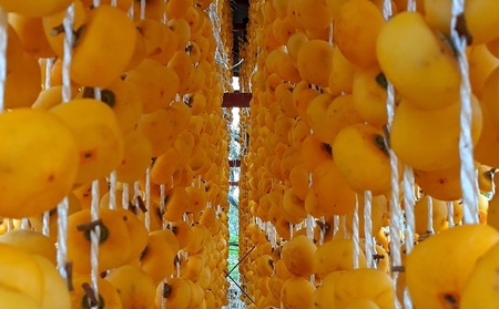 紅干し柿 170g 5~8個 0033-2508