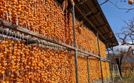 紅干し柿 170g 5~8個 0033-2508