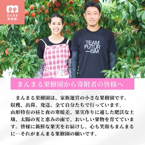 桃(あかつき)3kg 特秀品 0055-2603